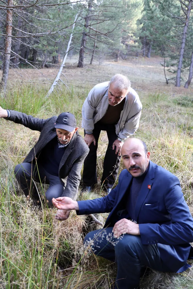 Sivas’ta petrol umudu, adeta her yerden çıkıyor